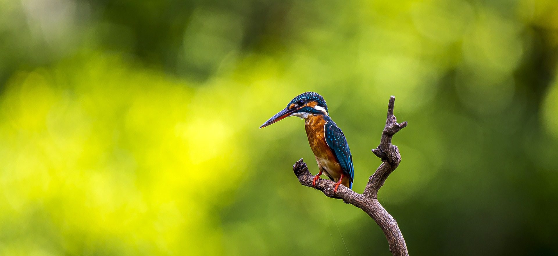 Best Time to visit Semuliki National Park