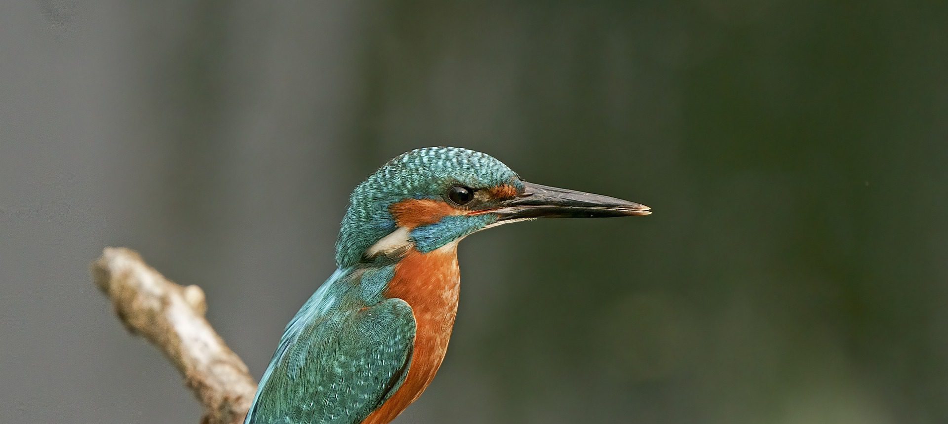 Semuliki National Park