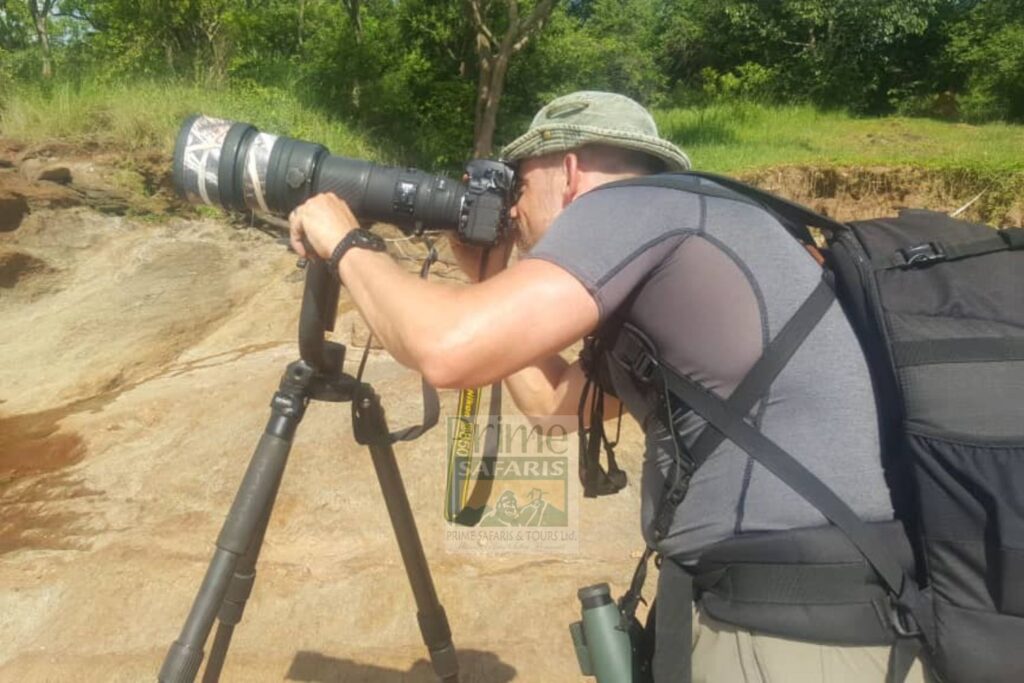 Uganda Birding Safaris